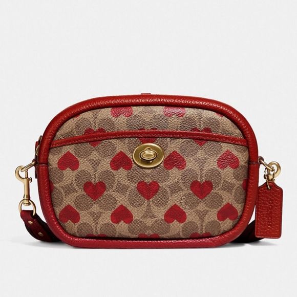 Coach camera bag hearts print from Valentine’s 2022 edition - Picture 3 of 13